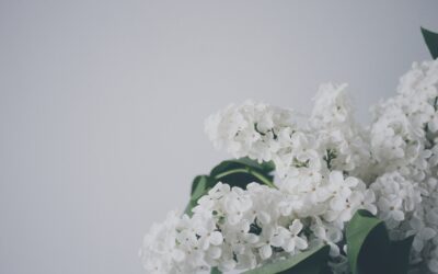Blog Post 3