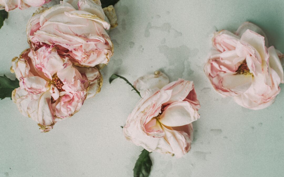 floral Blog post 1